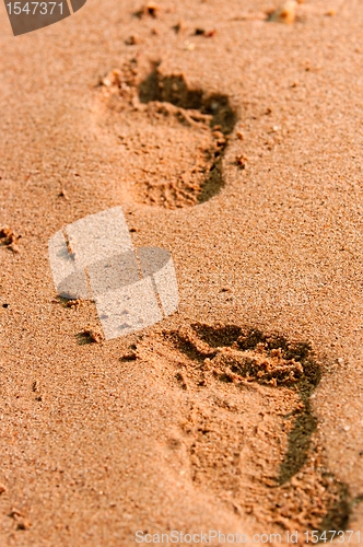 Image of Footpath in the sand at the beach