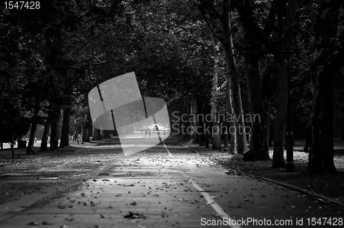Image of Black and white photo of a pathway in the park
