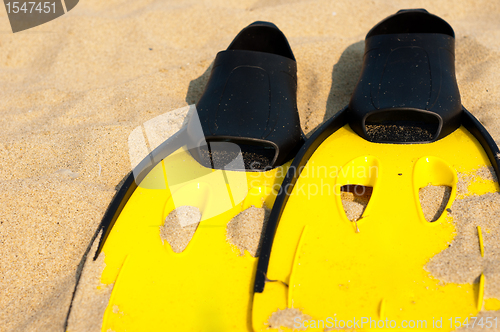 Image of Flippers in the sand on the beach