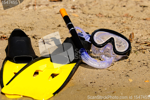 Image of Goggles and flippers on the shore