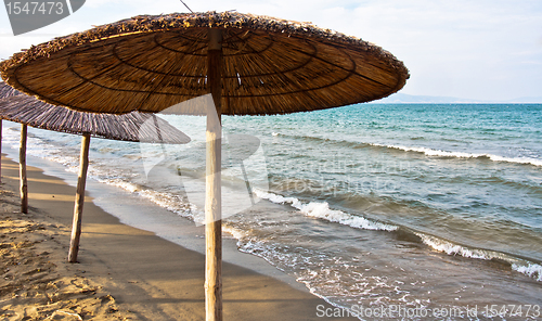 Image of Tranquil scene on the shores of the ocean