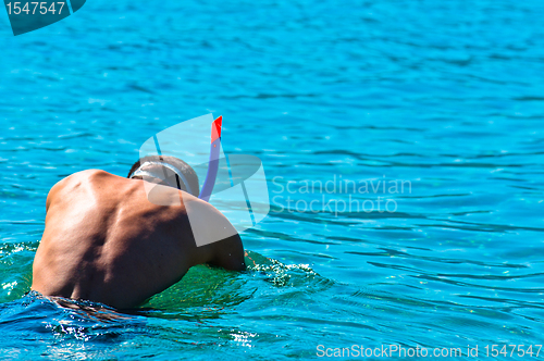 Image of Young male diving into the sea