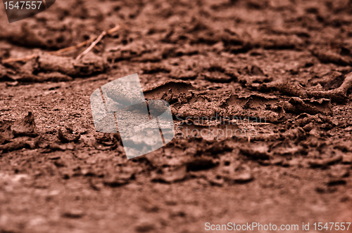 Image of Dry soil closeup before rain