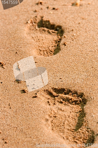 Image of Footpath in the sand at the beach