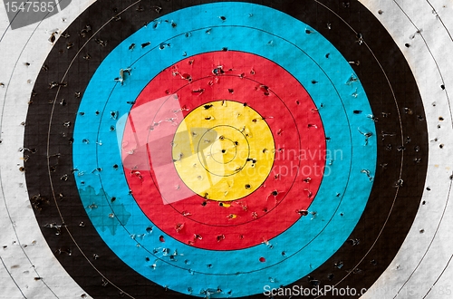 Image of Practice target with a lot of shots