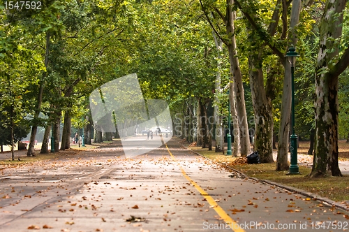 Image of pathway in the park at spring