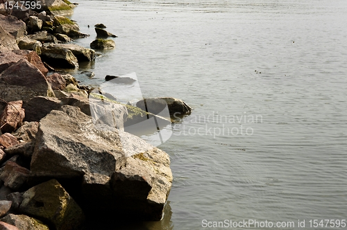 Image of Tranquil scene at the shore of an ocean