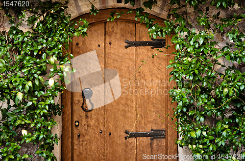 Image of Traditional wooden door with green plant