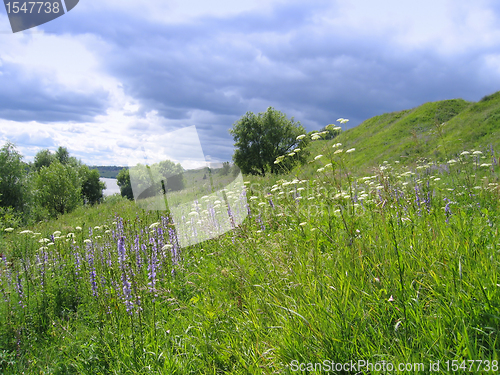 Image of summer landscape