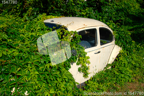 Image of Abandoned car