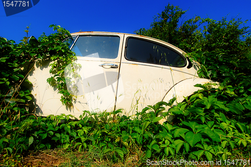 Image of Abandoned car 