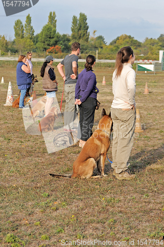 Image of people with dogs