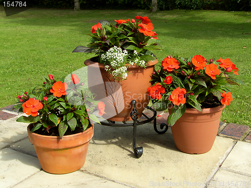 Image of Patio Pots