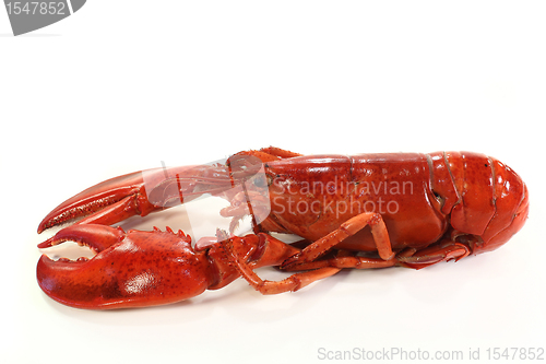 Image of lobster