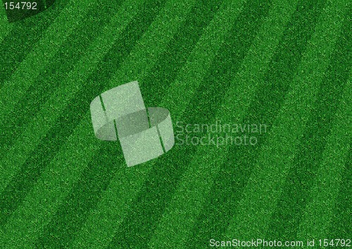 Image of Lawn