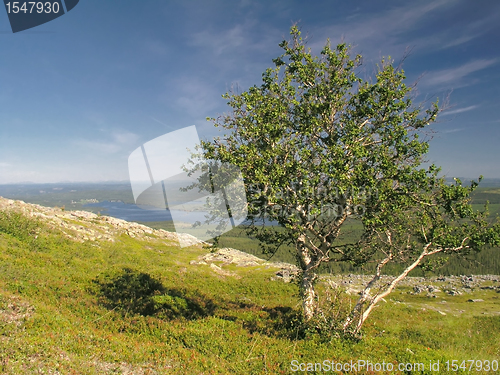 Image of Beautiful mountain landscape 