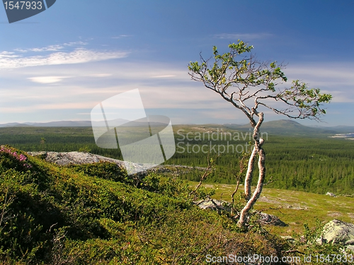 Image of Beautiful mountain landscape 