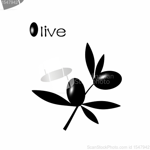 Image of Black Olive