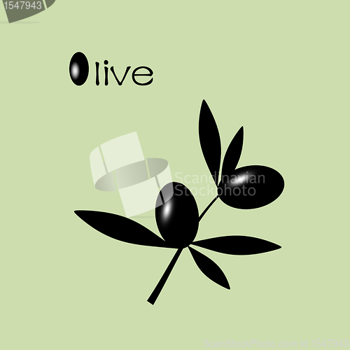 Image of Black Olive