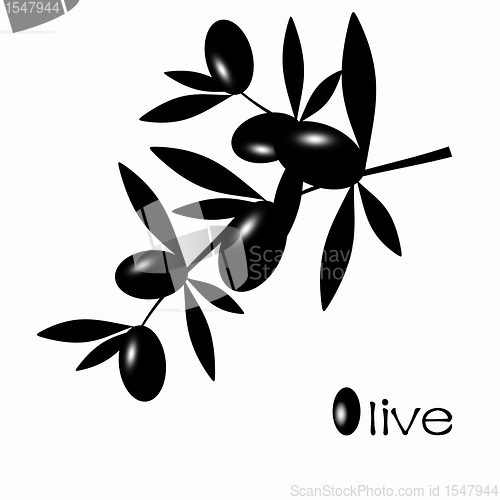 Image of Black Olive