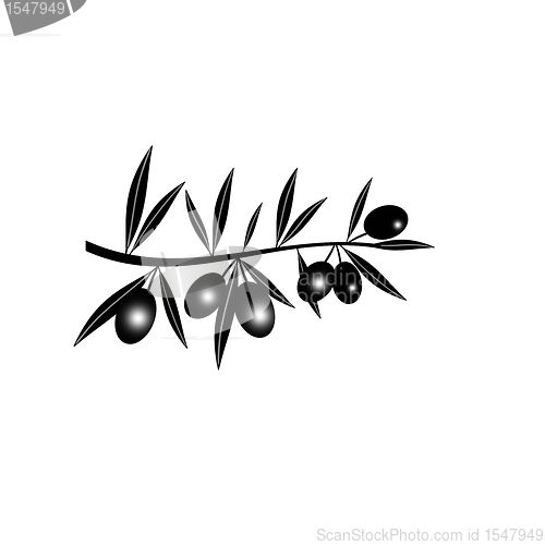 Image of Silhouette of black olive branch 