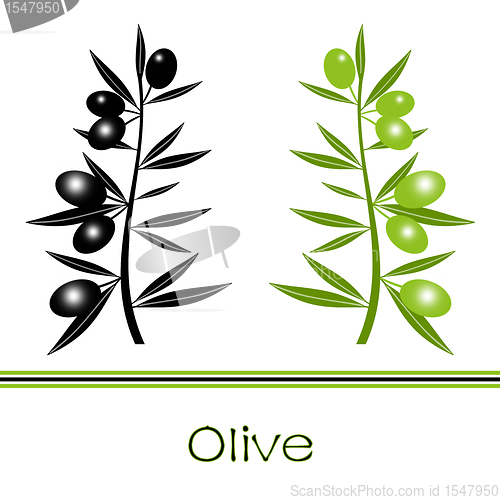 Image of Black and Green Olives Branch 