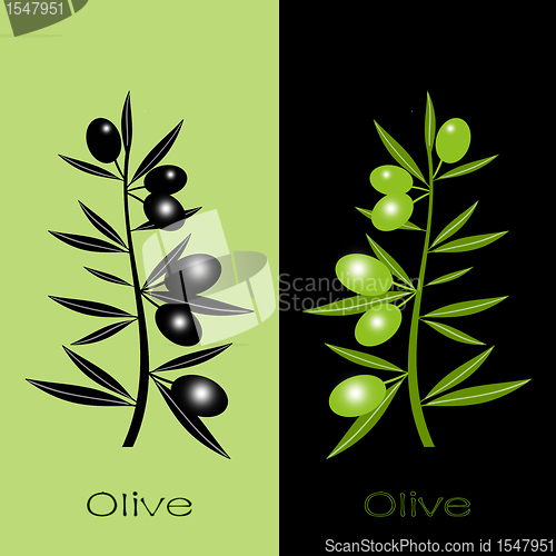 Image of Black and green olives