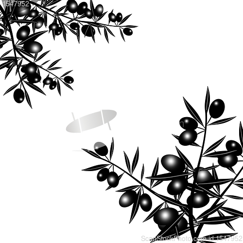 Image of Silhouette of black olive branch 