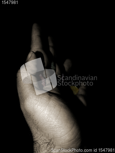 Image of candy in hand 05