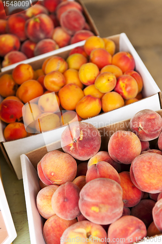 Image of Fruit for sale