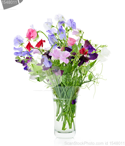 Image of Bouquet of sweet pea flowers in vase