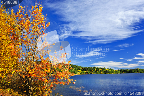 Image of Fall forest and lake