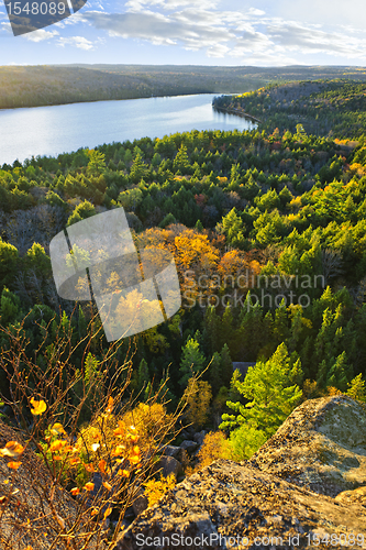 Image of Fall forest and lake top view