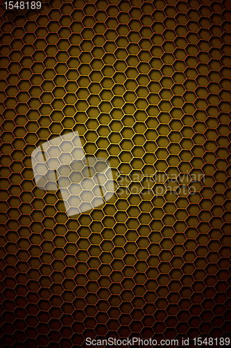 Image of honeycomb