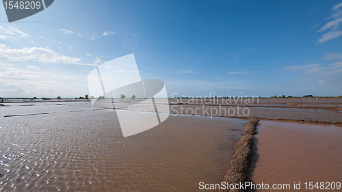 Image of Flooded rice fields in Cambodia