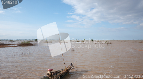 Image of Flooded rice fields in Cambodia