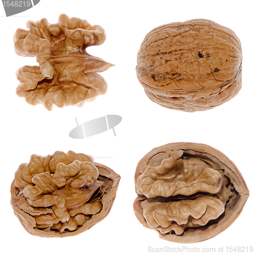 Image of Walnuts in closeup 