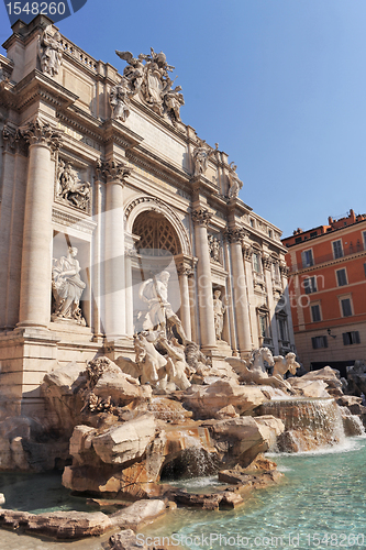 Image of fontana di Trevi