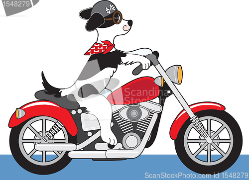 Image of Dog Motorcycle