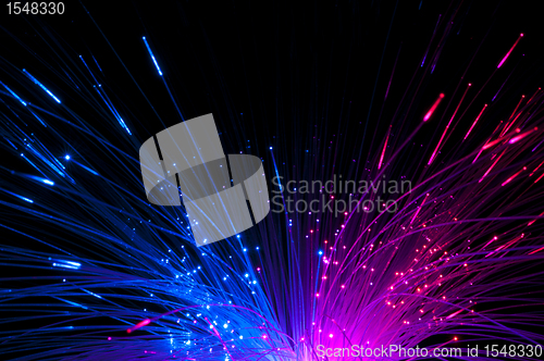 Image of Optical fibers