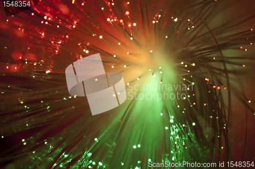 Image of Optical fibers