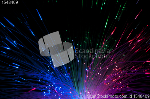 Image of Optical fibers