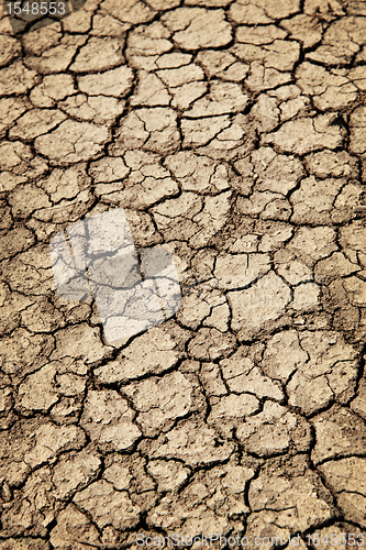 Image of Dry cracked ground during drought