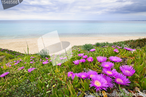 Image of Aegean sea coast in Greece