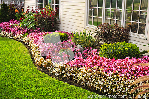 Image of Colorful flower garden