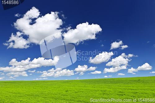 Image of Green rolling hills under blue sky