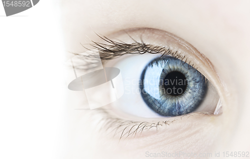 Image of Eye closeup