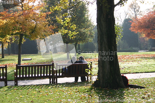 Image of Couple in Park