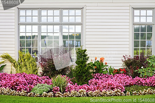 Image of Colorful flower garden