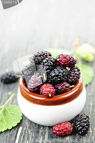 Image of Fresh mulberries